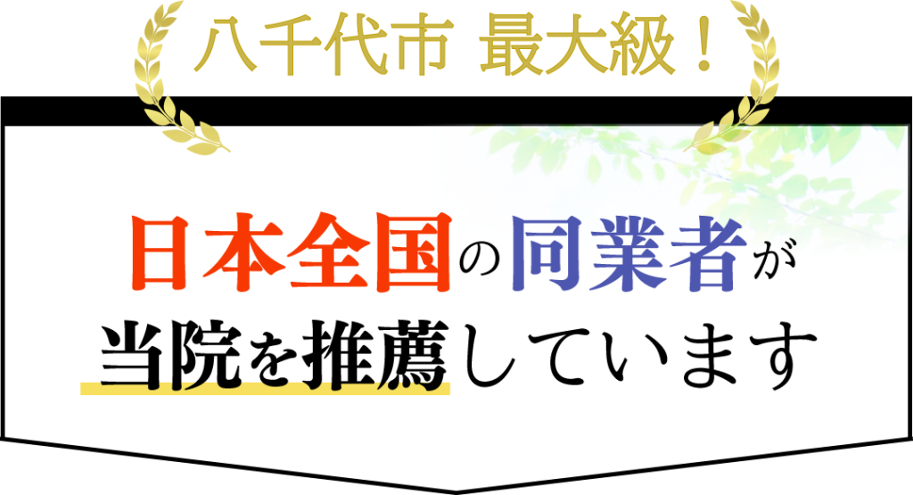 八千代市最大級 日本全国の同業者が当院を推薦しています